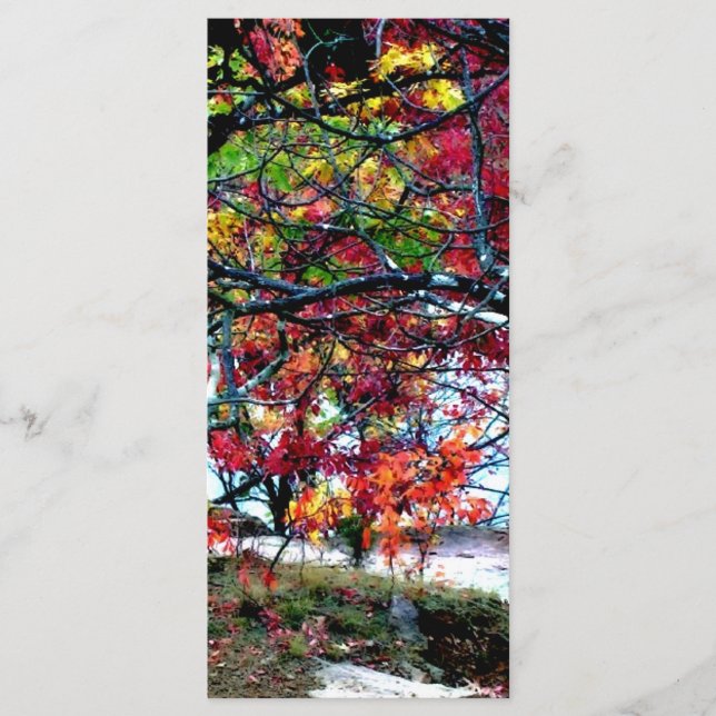 Todas las cosas brillante y bello marcador (Anverso)