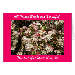 Todas las cosas brillantes y Beautifu…