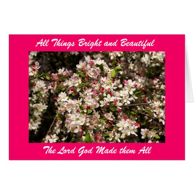 Todas las cosas buenas y bellas... (Anverso (Horizontal))