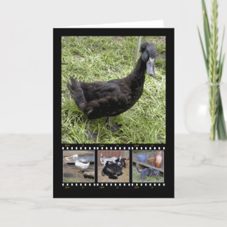 Todas las tarjetas de felicitación de tiras de pel