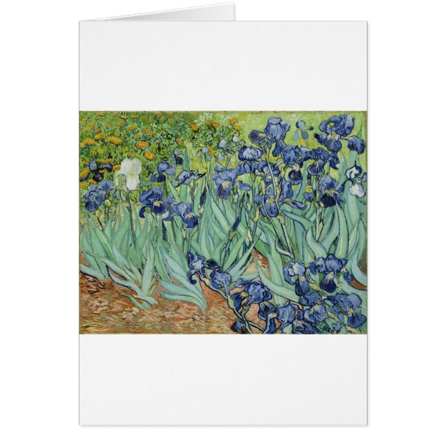 Todavía de Van Gogh vida: Florero con los iris (Frente)