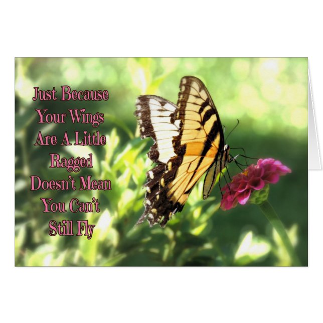 Todavía Se Puede Volar La Mariposa Tragada De Tigr (Anverso (Horizontal))