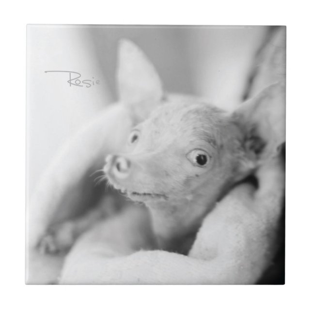 Todo baldosa cerámica de Rosie (Frente)