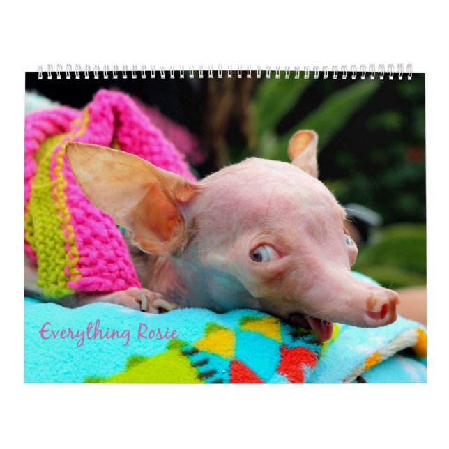 Todo calendario de Rosie (Tapa)