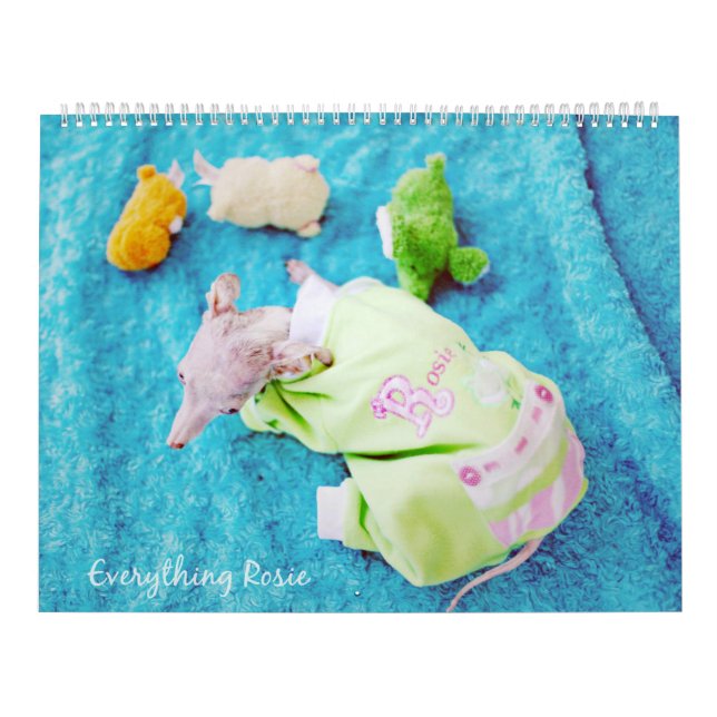 Todo calendario de Rosie (Tapa)