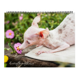 Todo calendario de Rosie