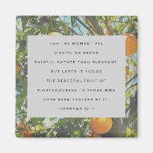 Todo el imán de disciplina