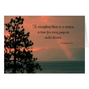 Todo está en temporada, en blanco