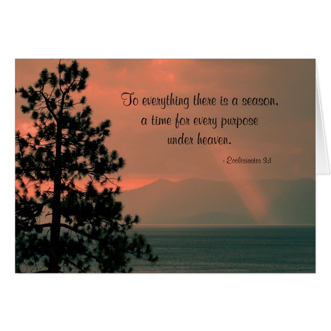 Todo está en temporada, en blanco (Anverso (Horizontal))