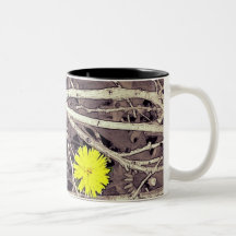 Todo lo que necesitas para la Copa del Café