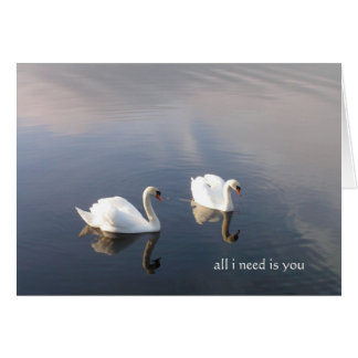 todo lo que necesito es tú