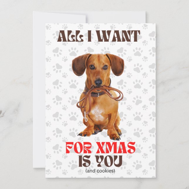 Todo lo que quiero para Navidad es gracioso Doxie  (Anverso)
