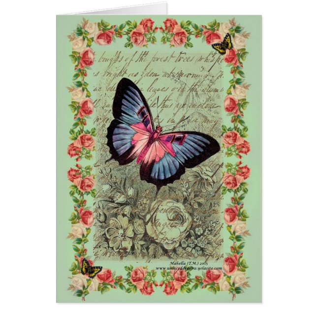 Todo mi amor (llano) (Frente)