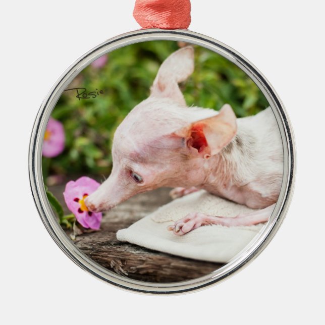 Todo ornamento de la foto de Rosie (Frente)