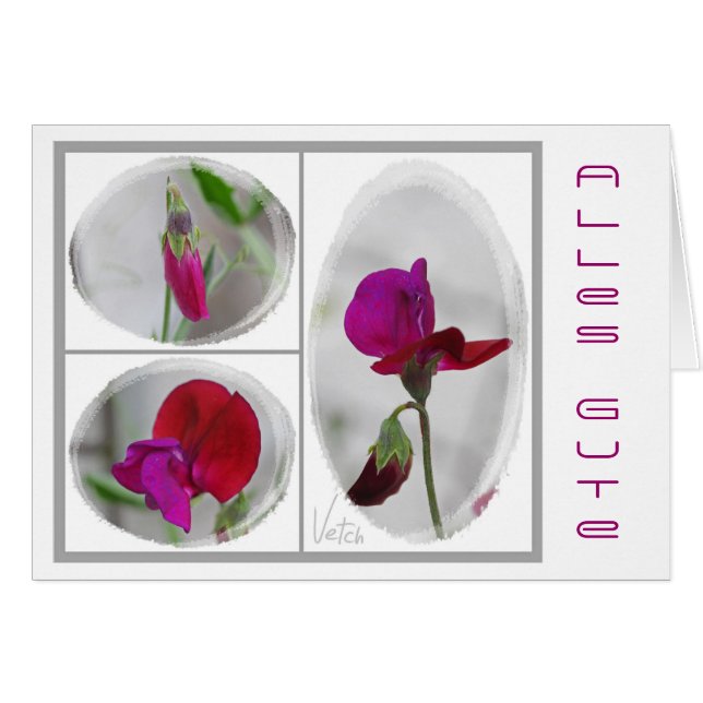 Todo propiedad (Anverso (Horizontal))