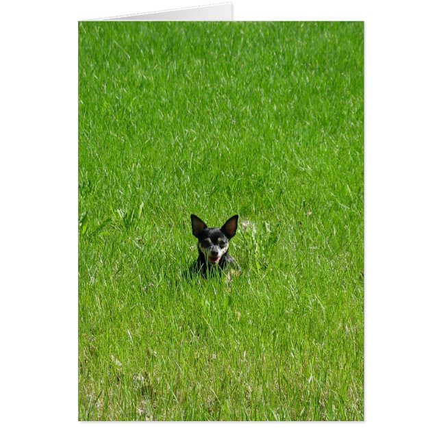 Todo solamente (Frente)