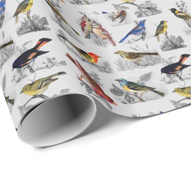 Todo tipo de pájaros envolviendo papel (Esquina del rollo)