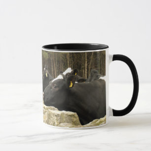 Todos en una taza del campanero de la fila