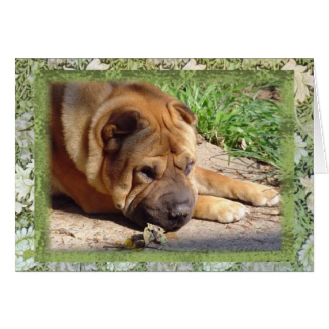 Todos lo que tengo son recuerdos (Anverso (Horizontal))