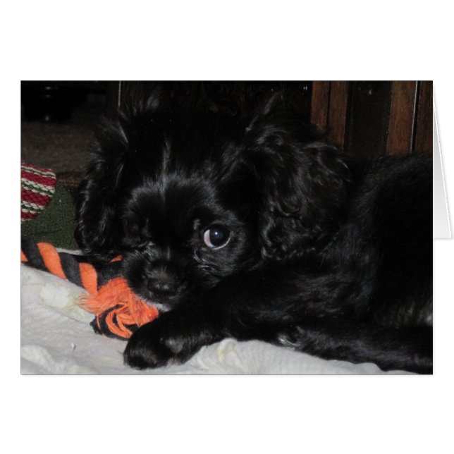 Todos los míos (Anverso (Horizontal))