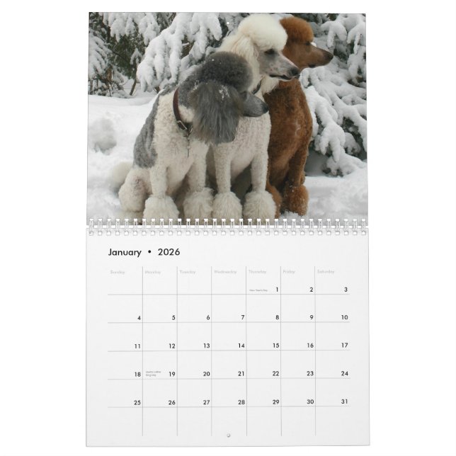 Todos los perros son de calendario del cielo (Jan 2026)