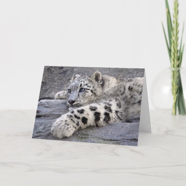 Todos realizaron la tarjeta (Anverso)