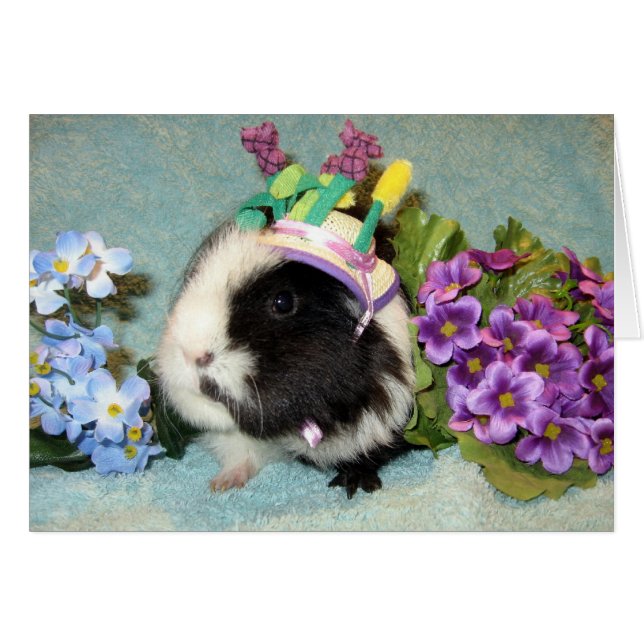 Todos se vistieron para arriba (Anverso (Horizontal))