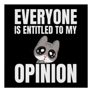 Todos tienen derecho a mi opinión Poster brillante