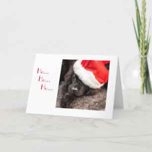 Todos vestidos para el navidad