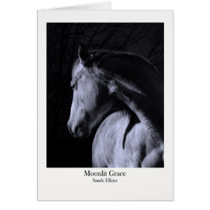 Tolerancia iluminada por la luna