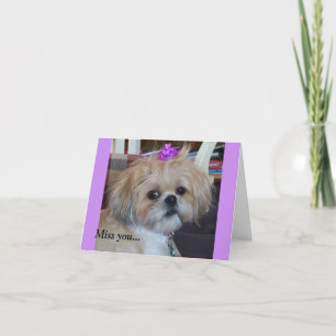 Tolerancia y gloria diarias de las tarjetas