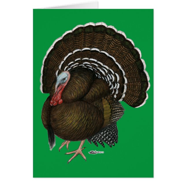 Tom del bronce de Turquía (Frente)