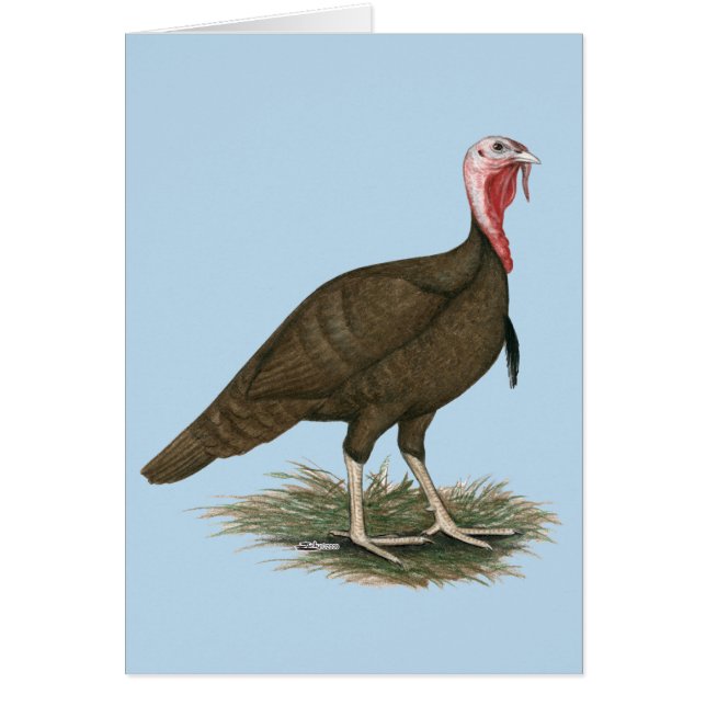 Tom del chocolate de Turquía (Frente)