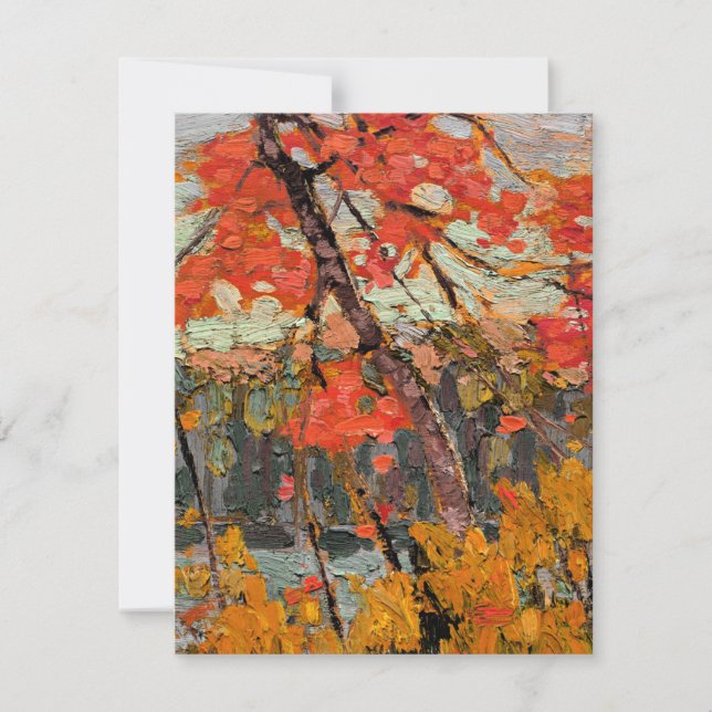 Tom Thomson - Twisted Maple (Anverso)