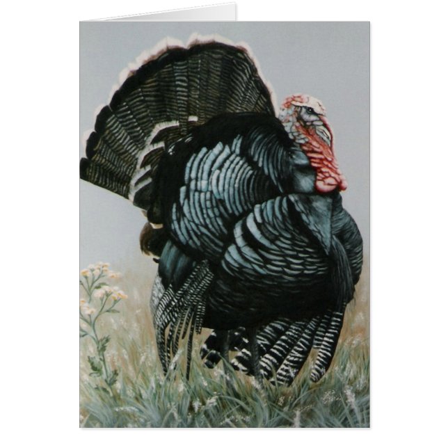 Tom viejo orgulloso (Frente)