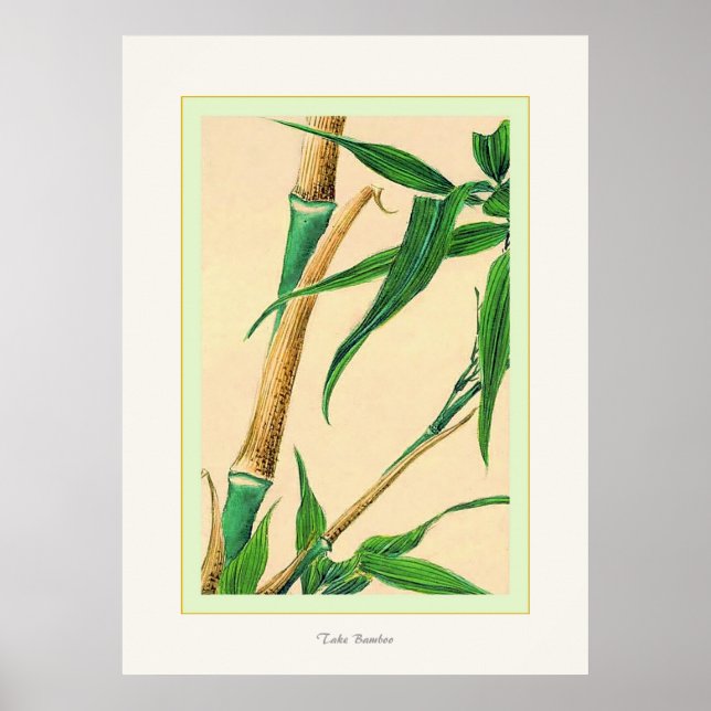 Toma Bamboo ~ Impresión de Bella Artes japonés vin (Frente)