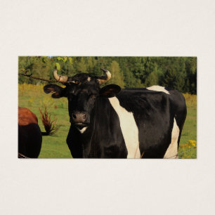 Toma el toro por los cuernos