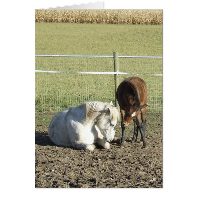 Toma tarjeta de paciente (Frente)