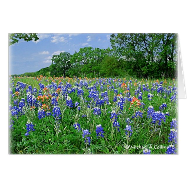 Toma tu almohada (Anverso (Horizontal))