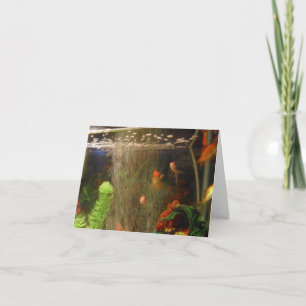 Toma una tarjeta de imagen