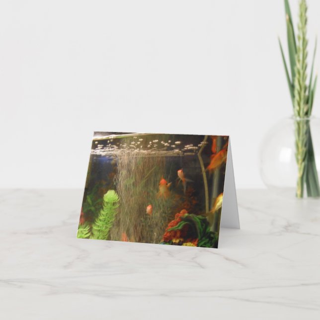 Toma una tarjeta de imagen (Anverso)