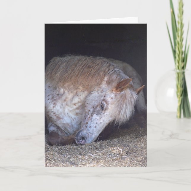 Tomándole la tarjeta de cumpleaños fácil (Anverso)