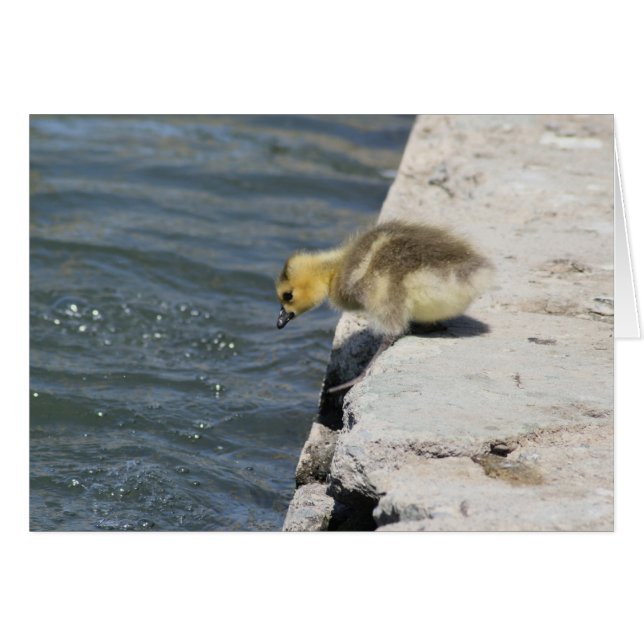 Tomar el desplome (Anverso (Horizontal))