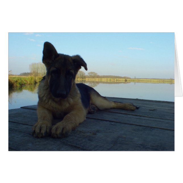 Tomar un descanso (Anverso (Horizontal))