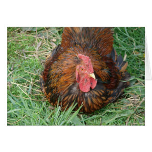 Tomar una lista de descanso