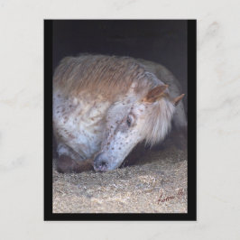 Tomar una postal fácil