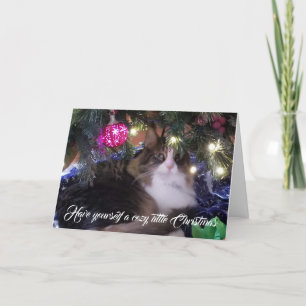 Tómate un gato acogedor bajo un árbol de Navidad