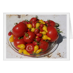 Tomates del ~ de la colección del jardín de la s