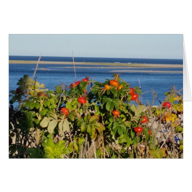 Tomates en el mar (Anverso (Horizontal))