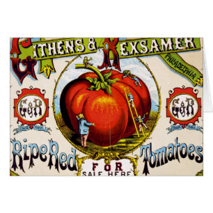 Tomates maduros rojos en venta - Anuncio de cosech